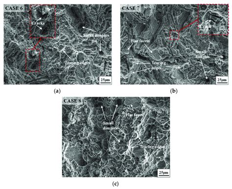 Fracture Morphologies Of Annealed Samples With Different Ssa Times A