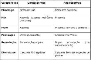 Diferença Entre Gimnospermas E Angiospermas - Diferenças entre Gimnospermas e Angiospermas - Hexag Medicina