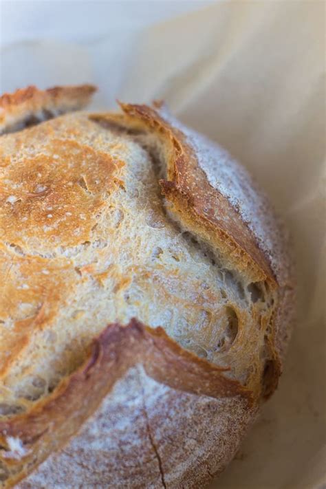 Artisan Bread In 5 Minutes A Day The Only Recipe You Need