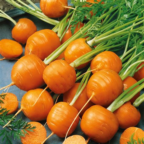 Vegetable Strip Carrot Atlas | Homebase