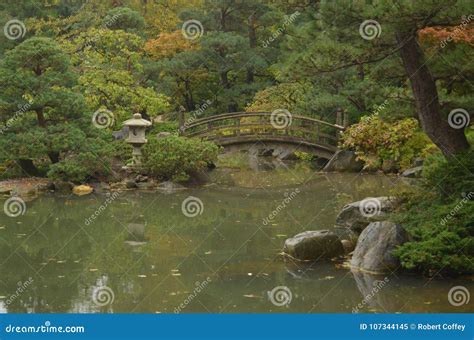 An Oriental Bridge in a Japanese Garden Stock Image - Image of japanese ...