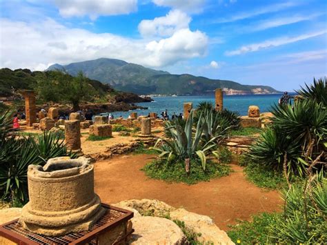 Ruines romaines de Tipaza à la découverte des décors pittoresques