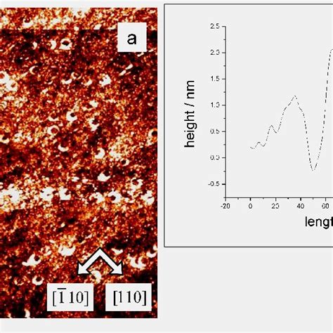 A Stm Image Of Gaas001 Surface After 8ml Of Ga At 460°c Small Pits