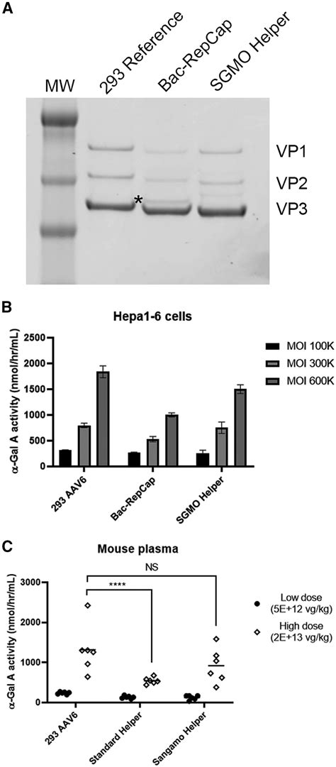 A Robust And Flexible Baculovirus Insect Cell System For Aav Vector Production With Improved