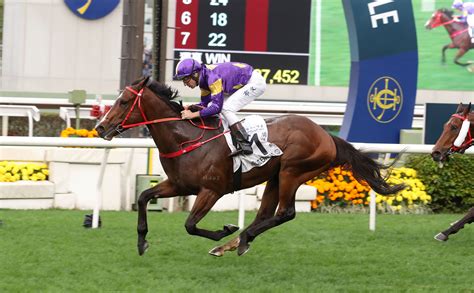 香港經典一哩賽圖輯 賽馬新聞 香港賽馬會