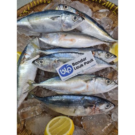 Jual Ikan Kembung Banjar 1kg Isi 8 Ekor Shopee Indonesia