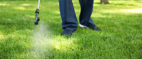 Weed Control Overland Park Leawood And Mission Hills Ks Lawn And