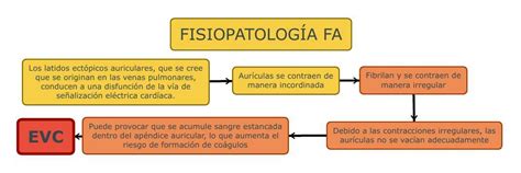 Fisiopatolog A Fibrilaci N Auricular Udocz