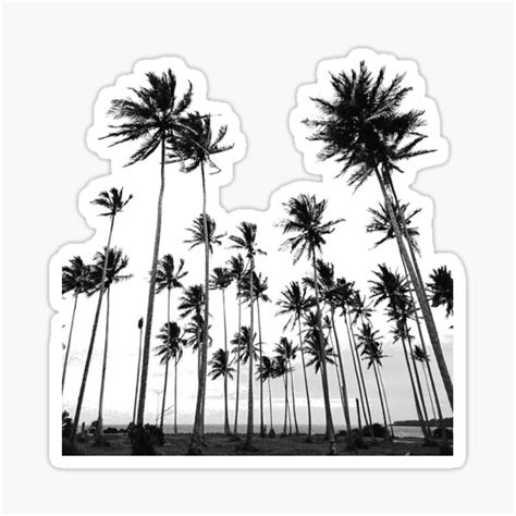 Cali Palm Sticker For Sale By Buksdesigns Redbubble