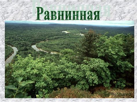 Презентация на тему: "Рельеф нашей страны Низменности Восточно ...