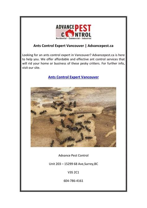 Ppt Ants Control Expert Vancouver Advancepestca Powerpoint Presentation Id11869640