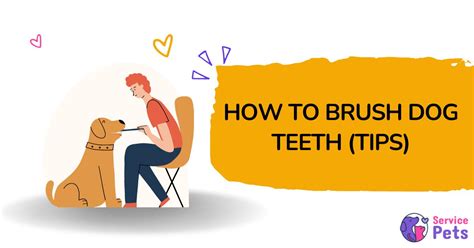 How to Brush Dogs Teeth (7 Tricks to Make Brushing Easier)