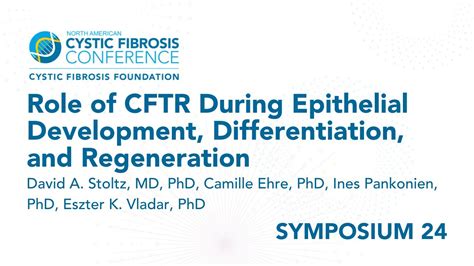 Nacfc S Role Of Cftr During Epithelial Development