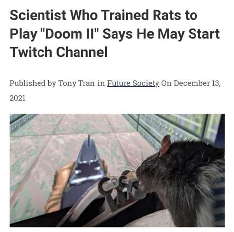 They Act Like Jerma Isnt Already On Twitch Rjerma985