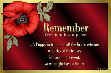 "Remember Veterans Poppy" by SpiceTree | Redbubble