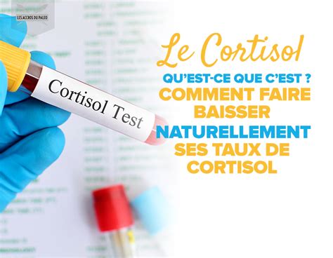 Cortisol qu est ce que c est symptômes d un taux de cortisol élevé