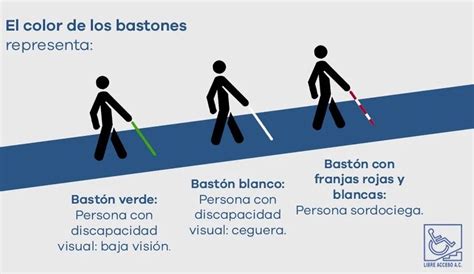 Infobariloche Recomendaciones Sobre El Uso De Bast N Por Personas Con