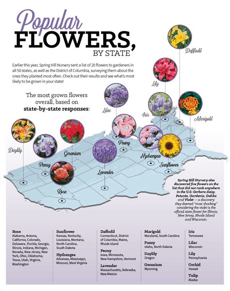 Popular Flowers By State Garden Center