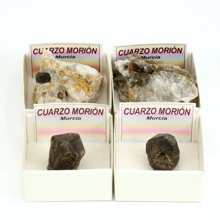 Comprar Mineral Colecci N Cuarzo Mori N Geotierra Es