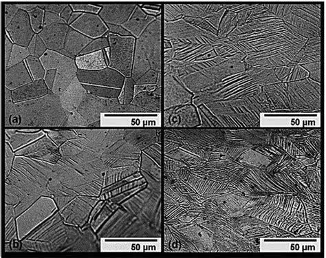 Plastic Deformation Behavior In Steels During Metal Forming Processes