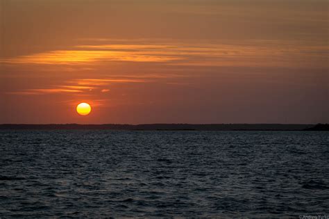 Assateague Sunset Tour Assateague Island Tours