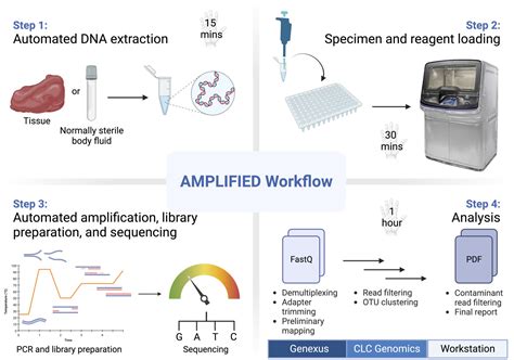 Development Of An Automated Amplicon Based Next Generation Sequencing