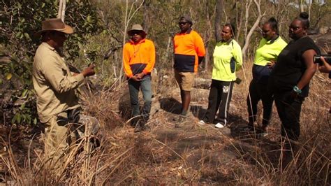 Indigenous Ranger Programs Are Working In Queensland They Should Be