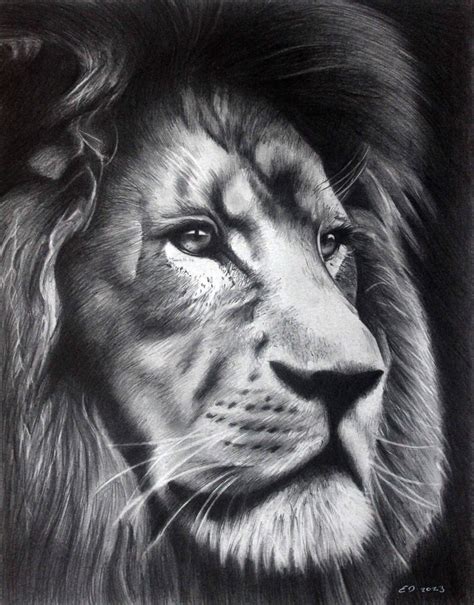 Lion Portrait by donchild on DeviantArt