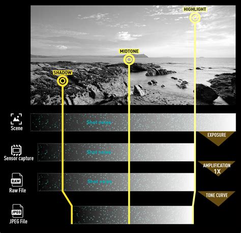 Gehoorzaamheid artillerie Op grote schaal camera sensor dynamic range ...