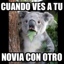 Meme Koala Cuando Ves A Tu Novia Con Otro