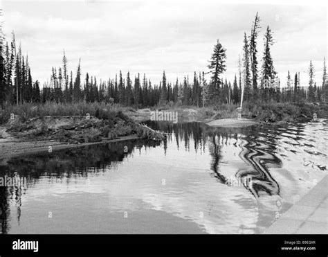 The Tanana River in Alaska Stock Photo - Alamy