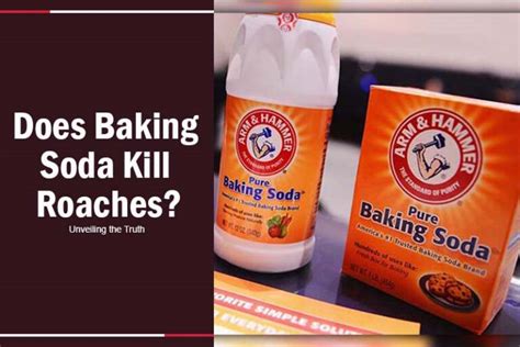 Does Baking Soda Kill Roaches Unveiling The Truth