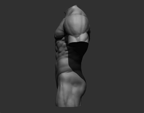 Torsos Male Torso 3D Model CGTrader