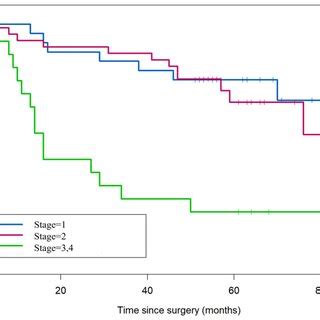 Kaplan Meier Survival Curve Of Patients With Nsclc Receiving