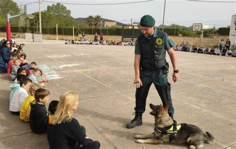 Ibiza Y Formentera La Guardia Civil Inicia Un Plan De Mejora De La