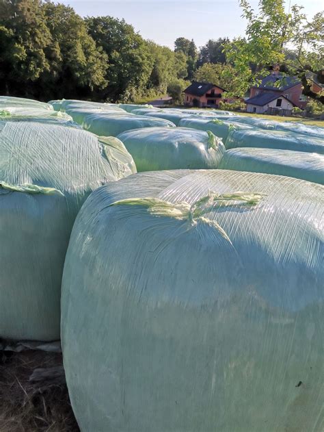 Silageballen Siloballen Kaufen Landwirt