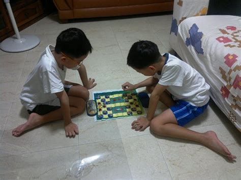 All About Your Child » Blog Archive » Chinese Animal Chess