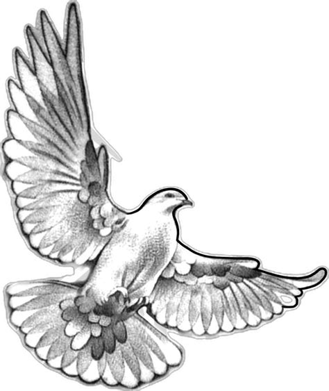 Pin On Tattoos In Dove Tattoo Dove Tattoo Design Dove Tattoos