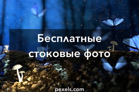 Лучшие фото (7 000+) по запросу «Butterfly» · Скачивайте совершенно ...