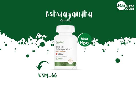 Ostrovit Ksm Ashwagandha Vi N Si U Sale Mua Ngay