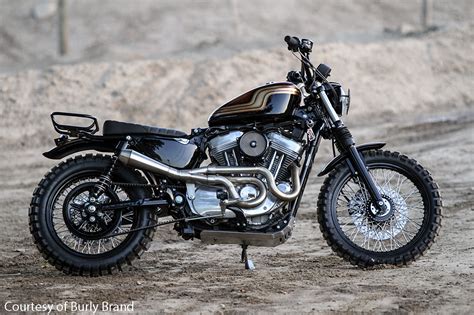 Harley Davidson Sportster Scrambler Backyard Rider Dishes The Dirt
