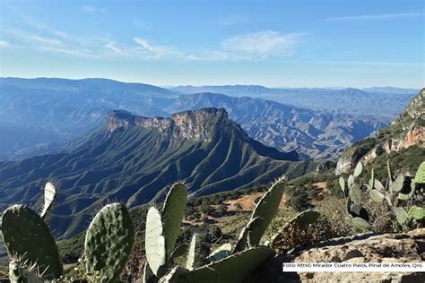 Reserva De La Bi Sfera Sierra Gorda Cumple A Os Imagen Agropecuaria