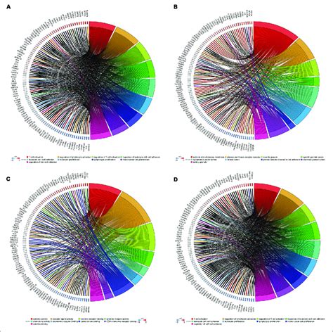 Go And Pathway Enrichment Analysis In The Brown Module A