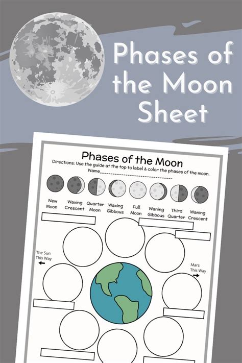 2nd3rd4th5th Phases Of The Moon Diagram Labeling And Coloring Or