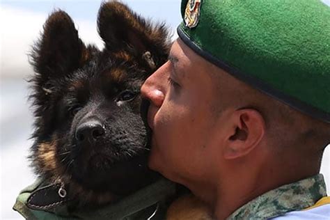 Ya Tiene Nombre Arkadas As Se Llamar El Perrito Donado Por