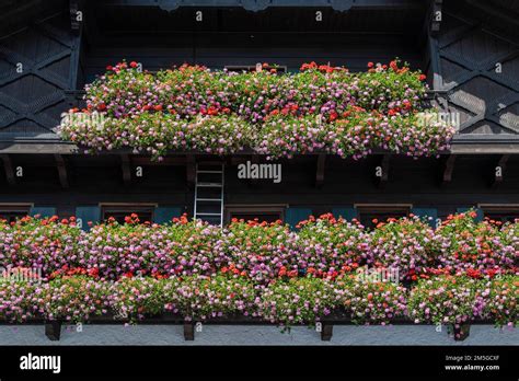 Flower Decoration On A Historic Half Timbered House Oberammergau