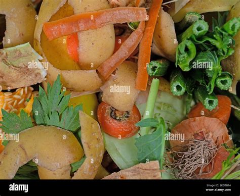 Organic Waste Kitchen Waste For Composting Stock Photo Alamy