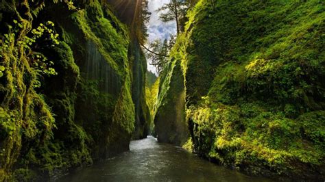 River Between Steep Cliffs In Columbia River Gorge National Scenic Area