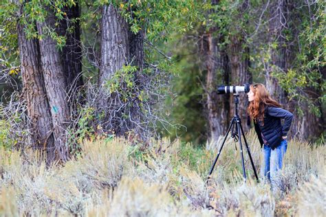 About Us - Jackson Hole Wildlife Safaris