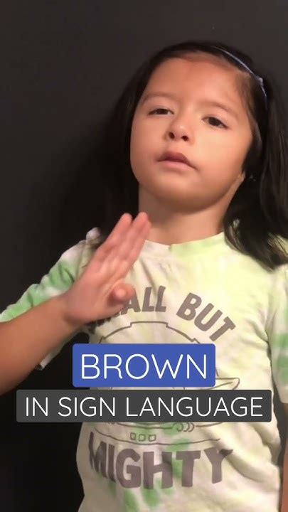 Brown In Asl Learn American Sign Language Youtube